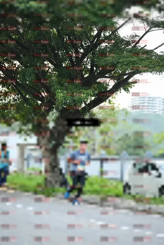 Photo ID 8242140