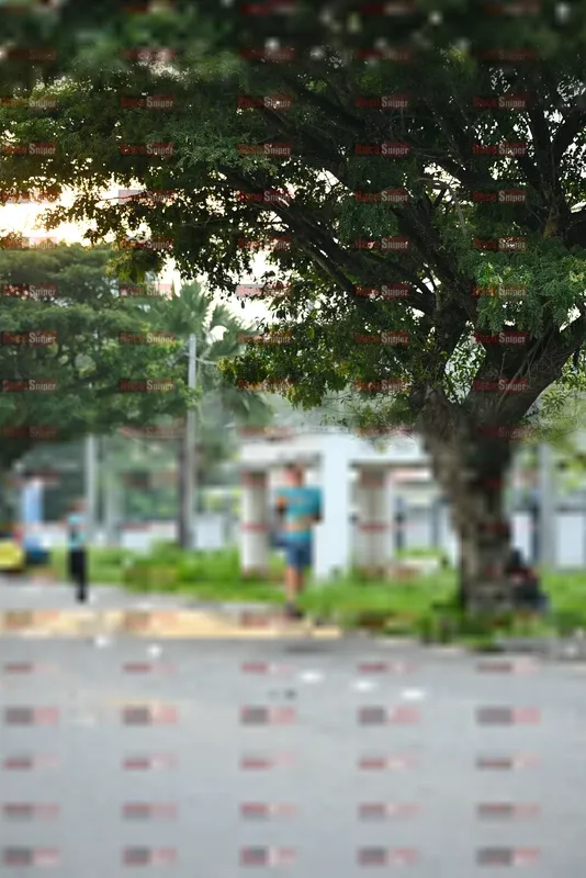 Photo ID 8242213