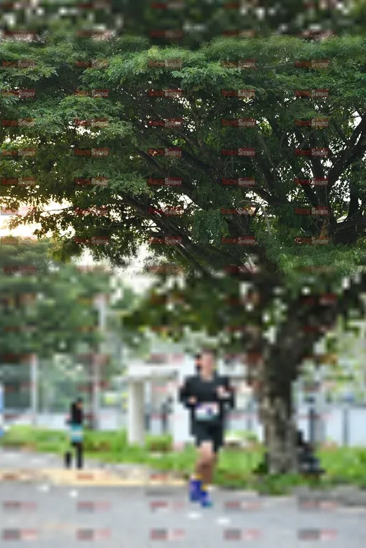 Photo ID 8242233