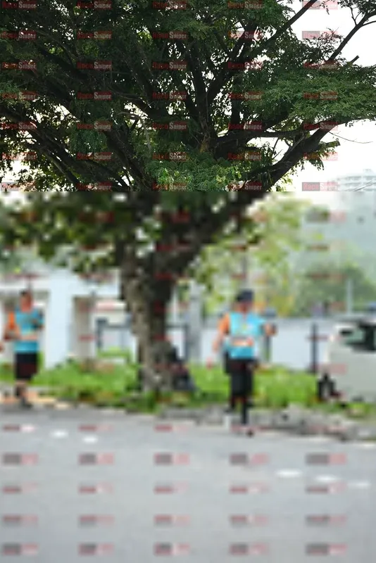 Photo ID 8242316