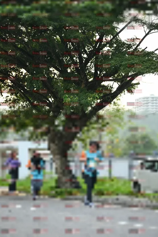 Photo ID 8242377