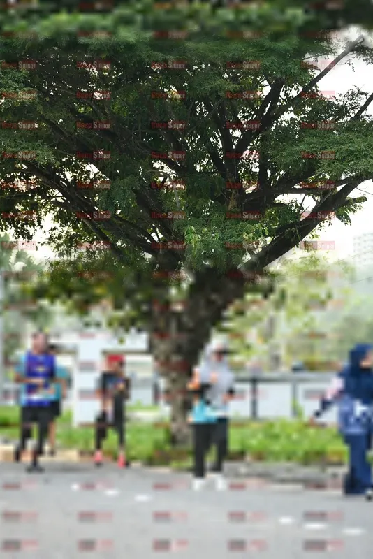 Photo ID 8242558