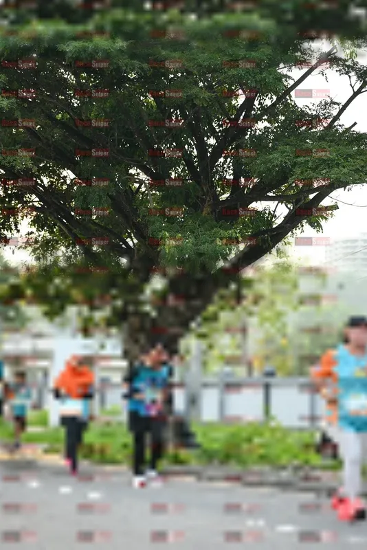 Photo ID 8242610