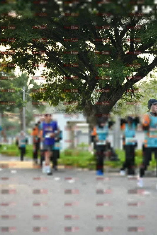 Photo ID 8242752