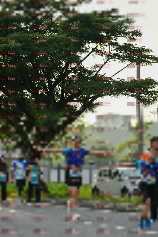 Photo ID 8243246