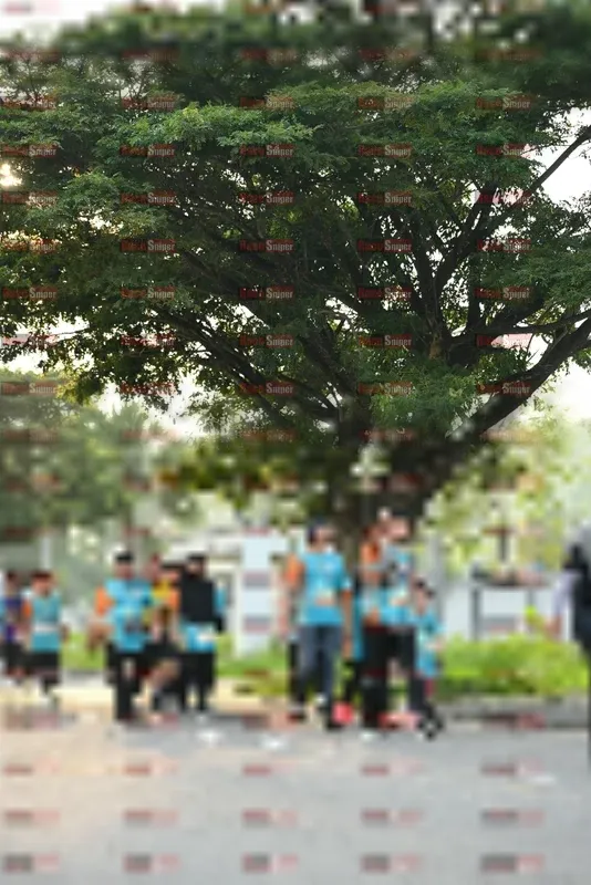 Photo ID 8243340