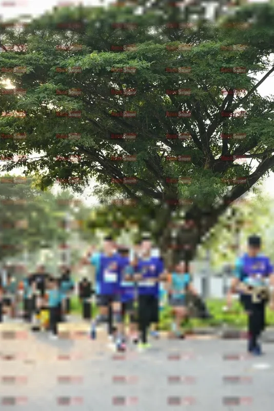 Photo ID 8243349