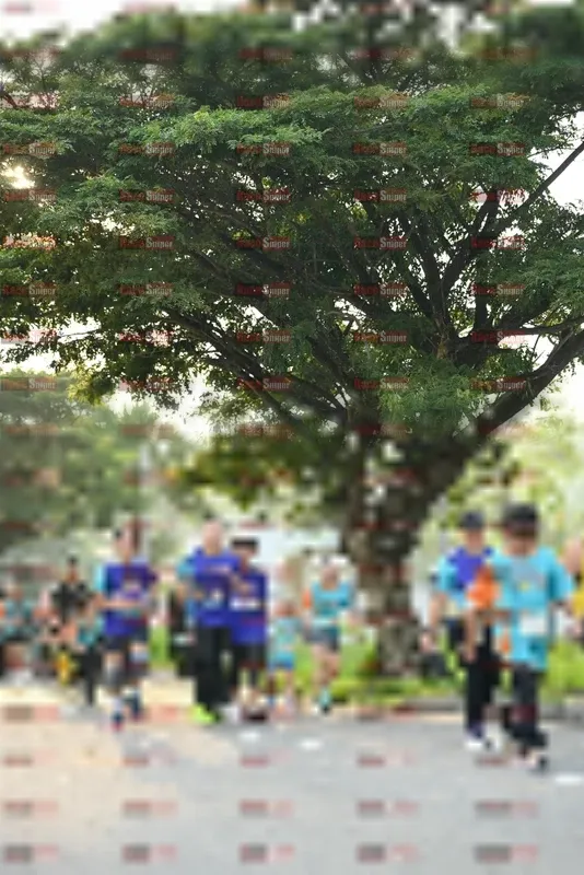 Photo ID 8243356