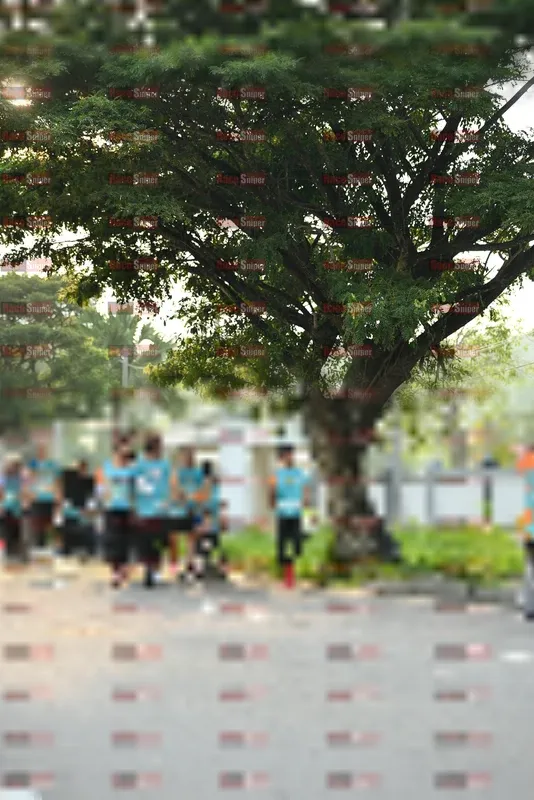 Photo ID 8243446
