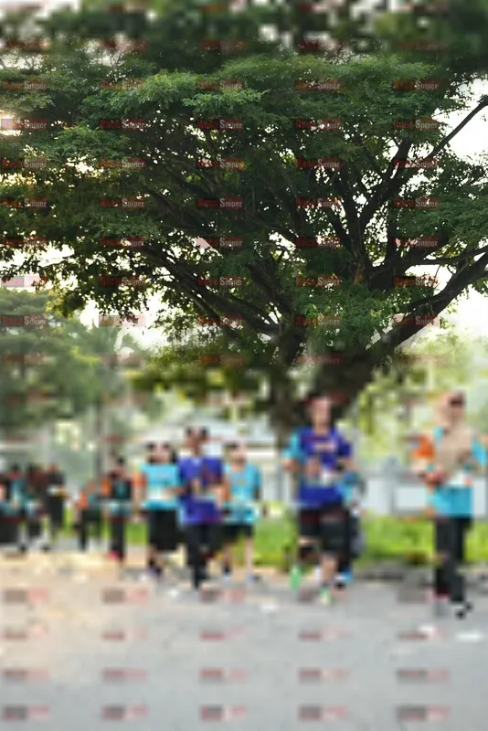 Photo ID 8243493