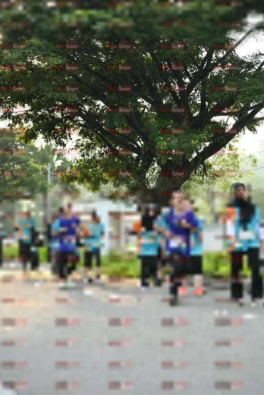 Photo ID 8243520