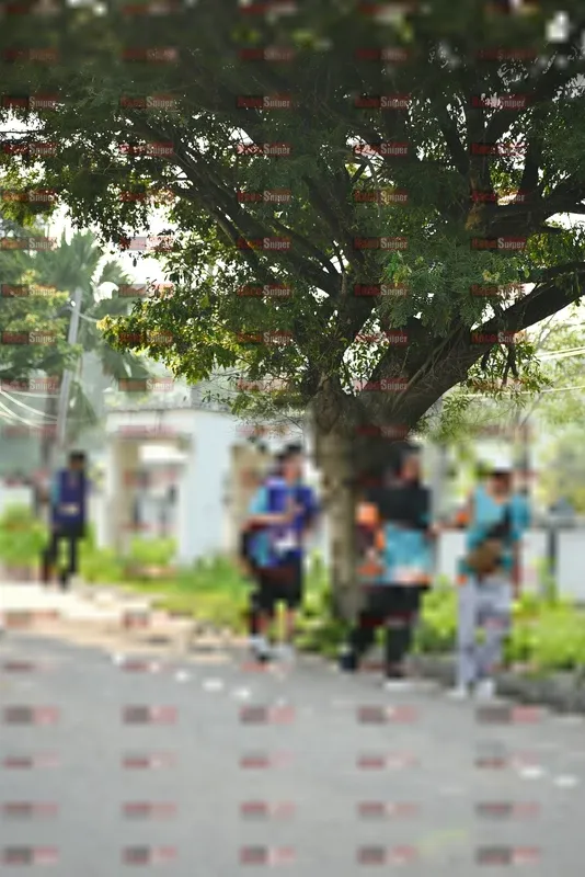 Photo ID 8244825
