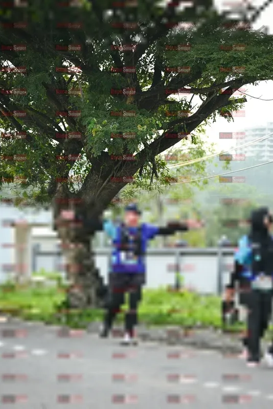 Photo ID 8245090