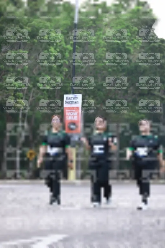 Photo ID 8249504