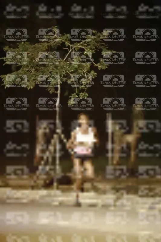 Photo ID 8257081