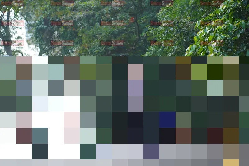 Photo ID 8290336
