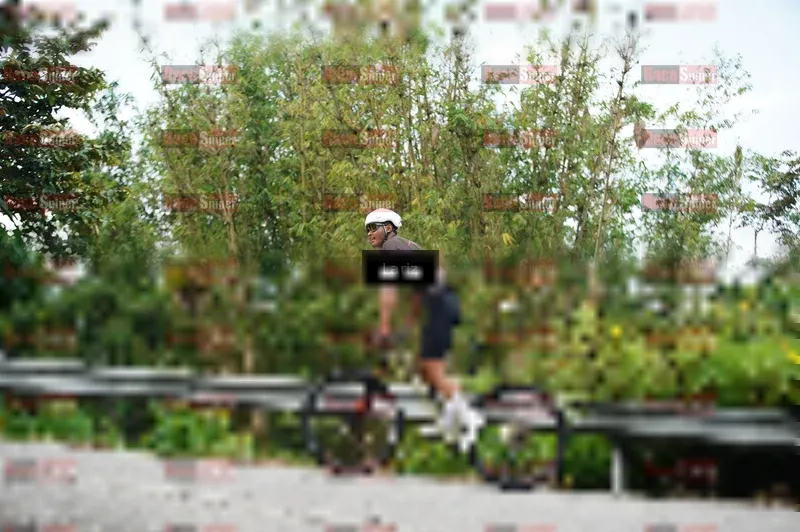 Photo ID 8300054