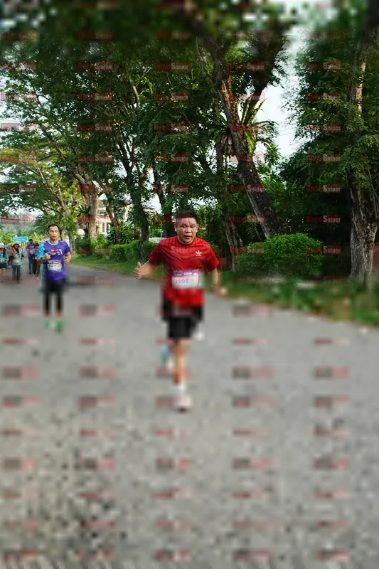 Photo ID 8303005