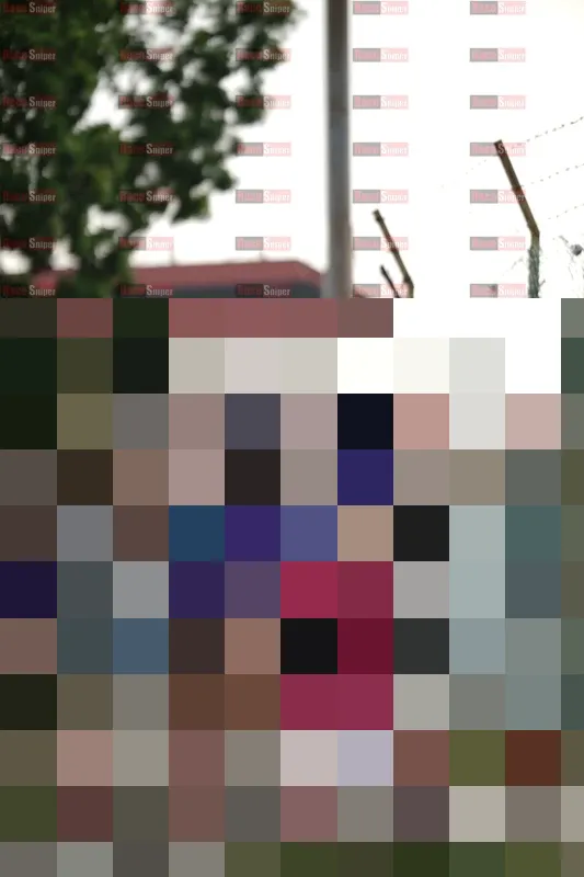 Photo ID 8330294