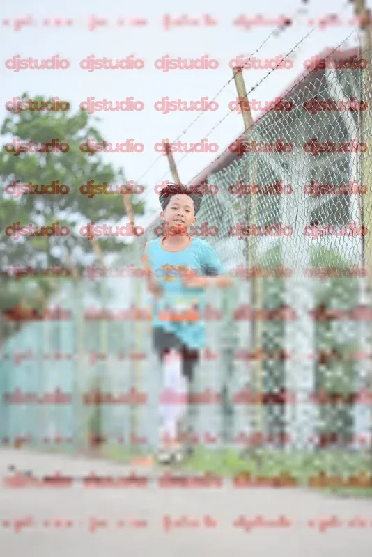 Photo ID 8336312