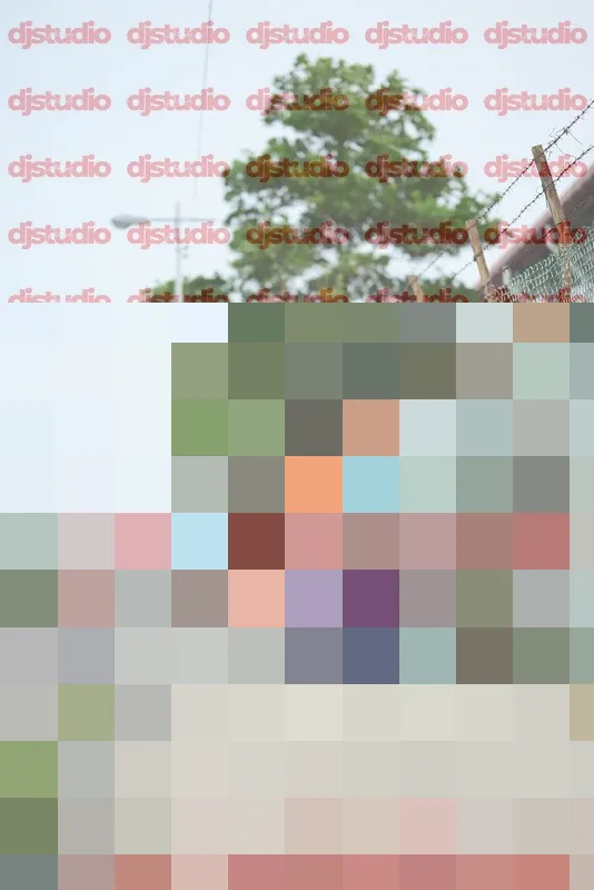 Photo ID 8339103