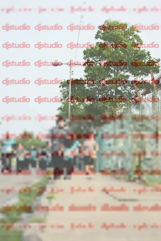 Photo ID 8353919