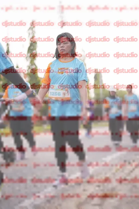 Photo ID 8379018