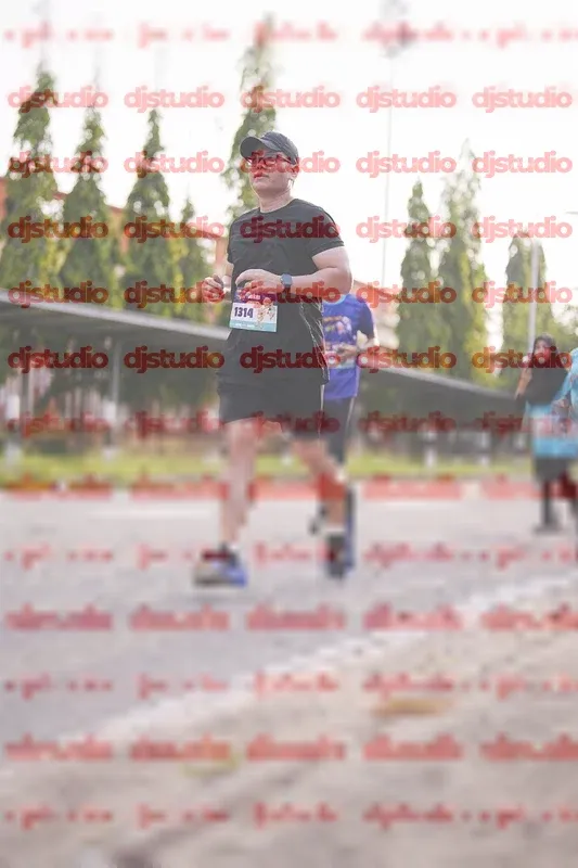 Photo ID 8380211