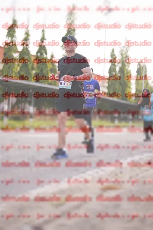 Photo ID 8380212