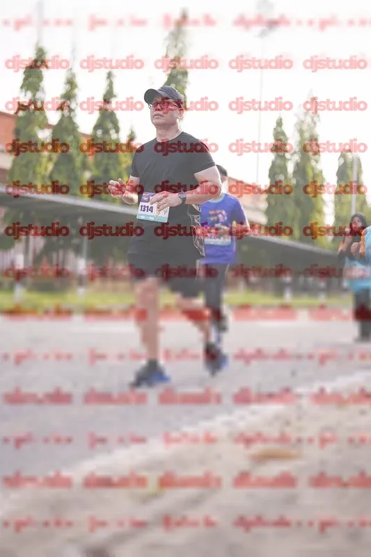 Photo ID 8380213