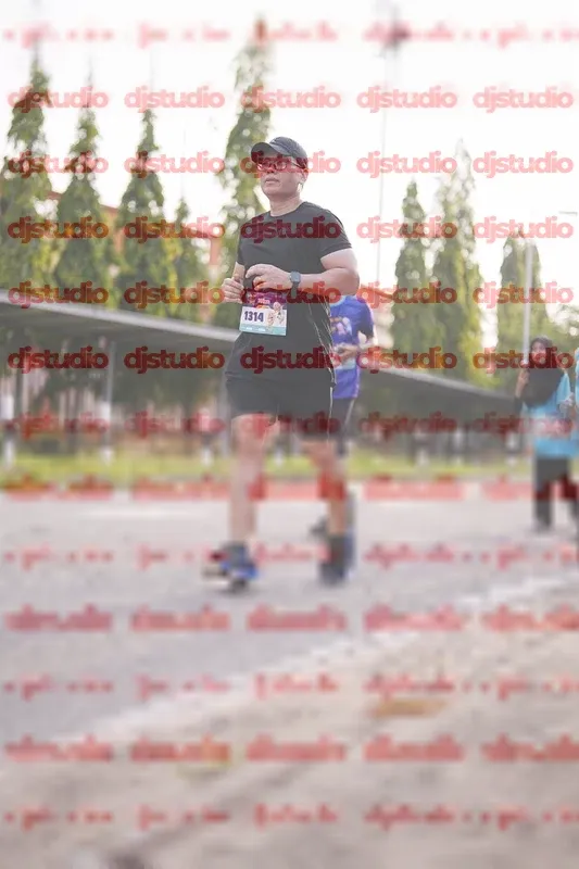 Photo ID 8380219
