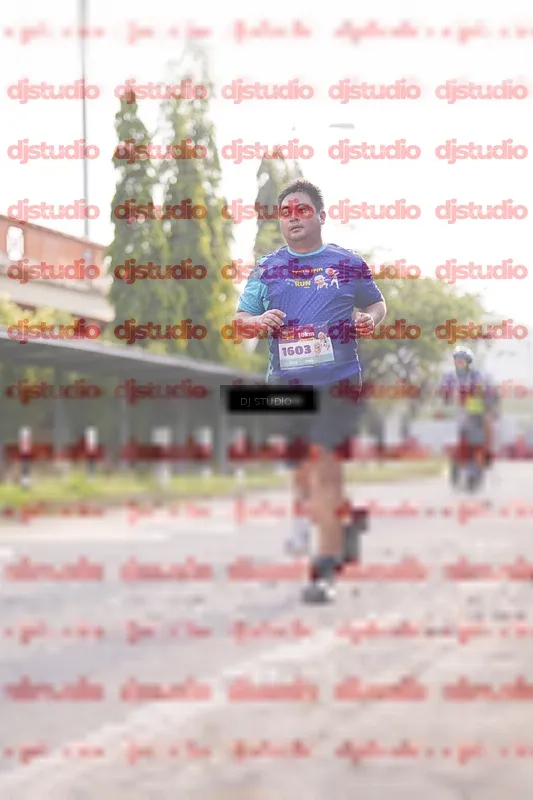 Photo ID 8383978