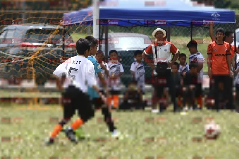 Photo ID 8392429
