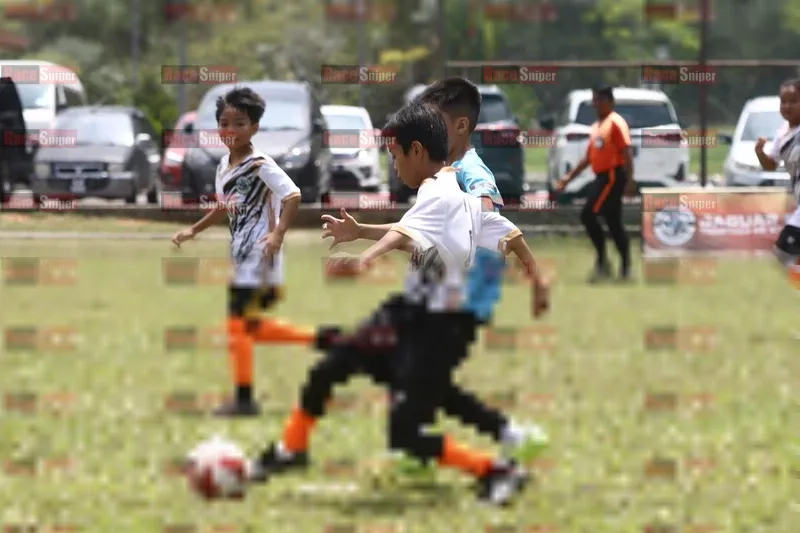 Photo ID 8392442