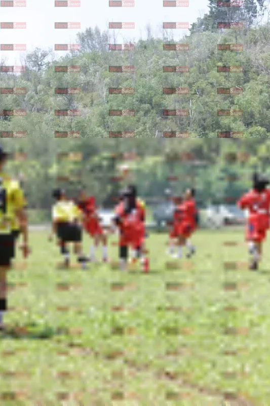 Photo ID 8395320