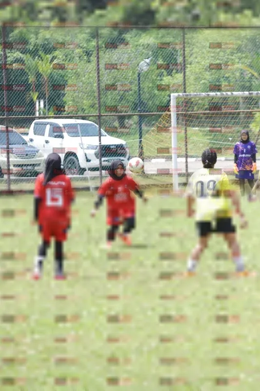 Photo ID 8395353