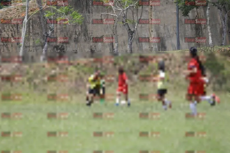 Photo ID 8395429