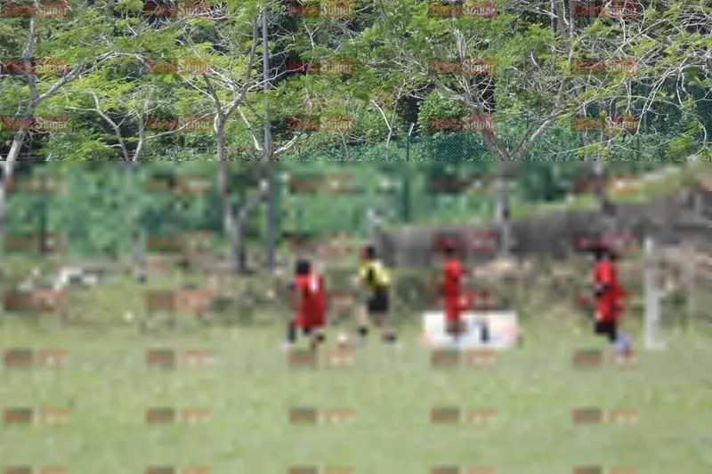 Photo ID 8395431
