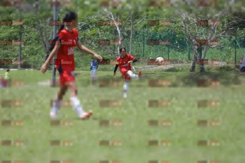 Photo ID 8395445