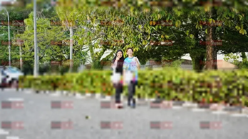 Photo ID 8402524