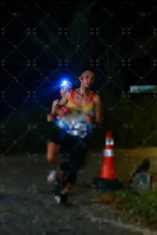 Photo ID 8404515