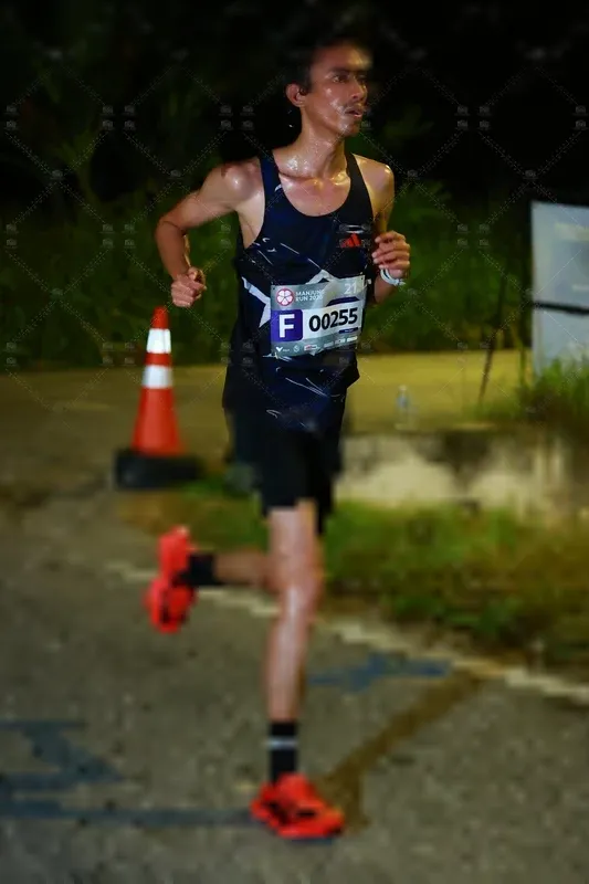 Photo ID 8405324