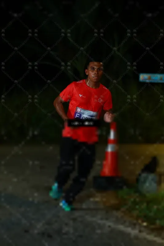 Photo ID 8405358