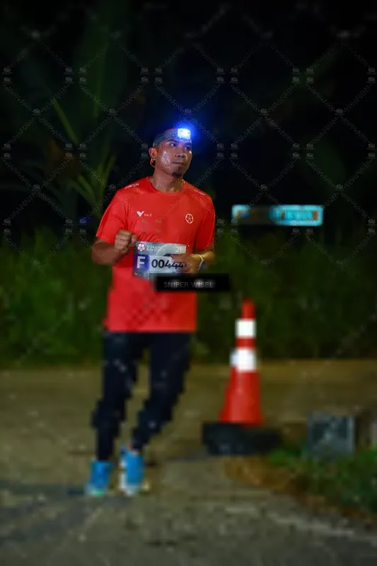Photo ID 8406427
