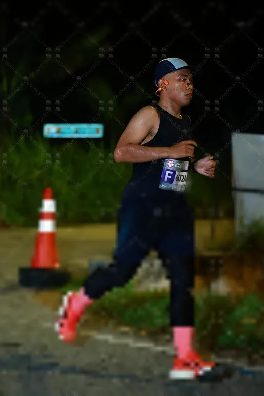 Photo ID 8406451