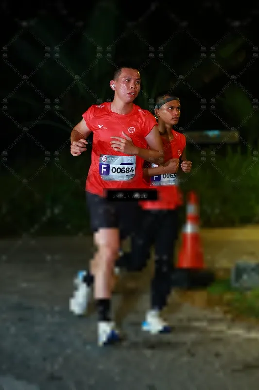 Photo ID 8406581