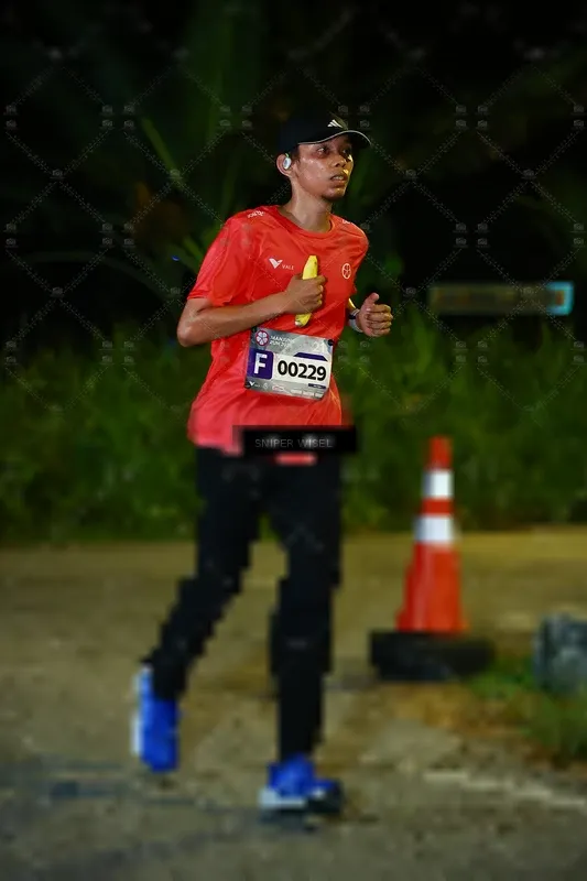 Photo ID 8406836