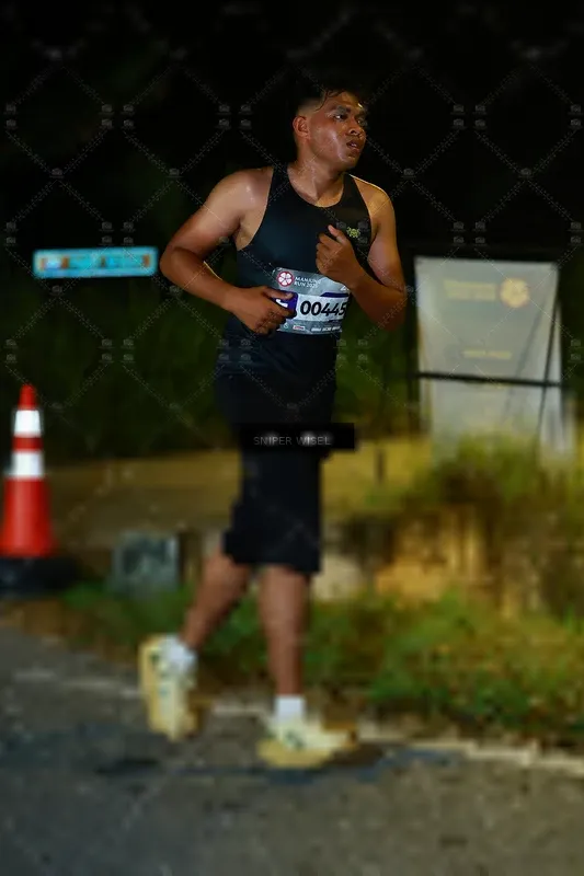 Photo ID 8407011
