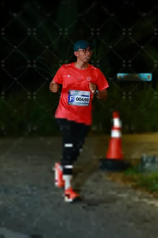 Photo ID 8407273