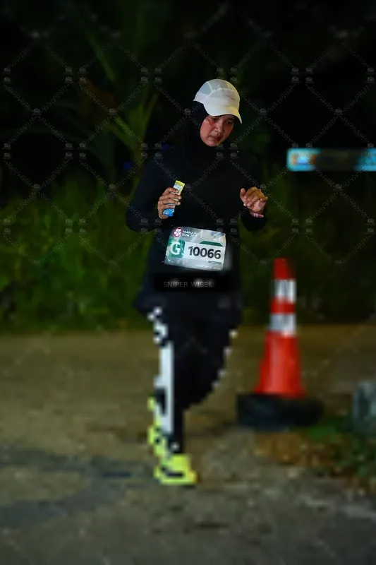 Photo ID 8407318